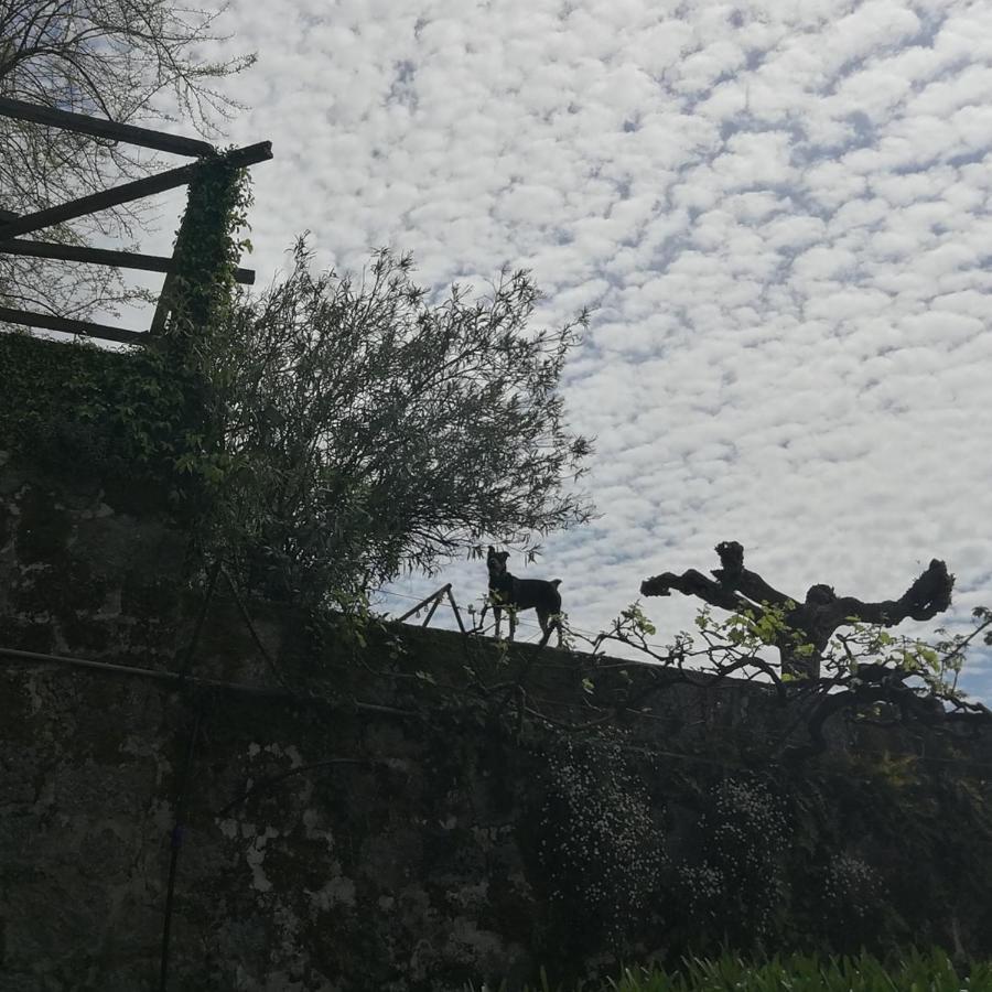 Casa Do Palheiro Βίλα Covelas  Εξωτερικό φωτογραφία